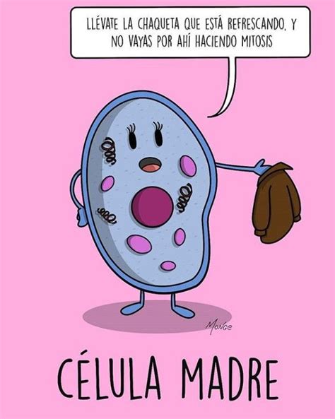 Célula madre | Cuaderno interactivo de ciencias, Cuadernos de ciencias ...