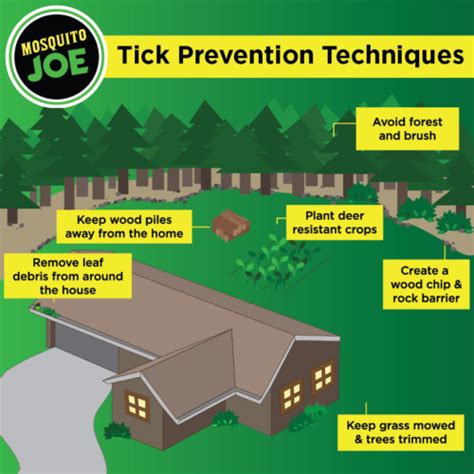 Understanding the Tick Lifecycle | Mosquito Joe