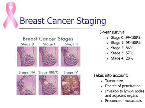 What Are The Symptoms Of Stage 4 Breast Cancer - BreastCancerTalk.net