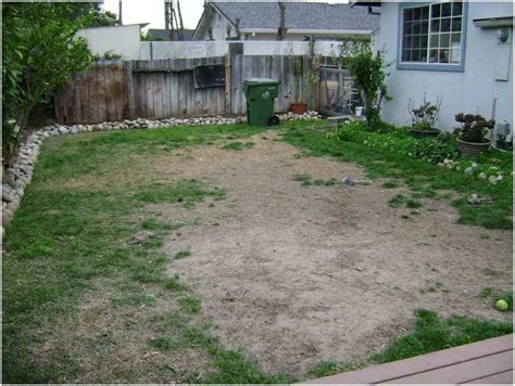 12 Ideas How to Improve Dog Backyard Landscape - Simphome | Dog ...