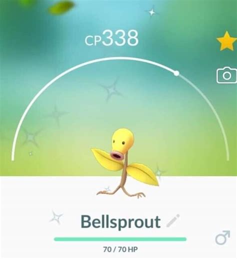 Pokemon Go Shiny Bellsprout | eBay