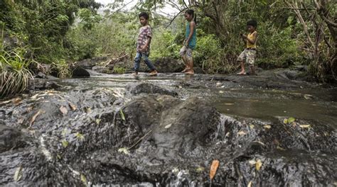 Forest Restoration: A Path to Recovery and Well-Being | United Nations