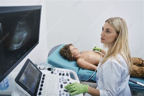 Heart ultrasound scan - Stock Image - F037/0854 - Science Photo Library