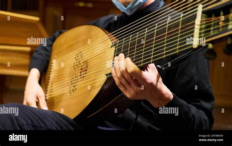 Person musician plays a baroque lute theorbo with his hands the strings during a concert Stock ...