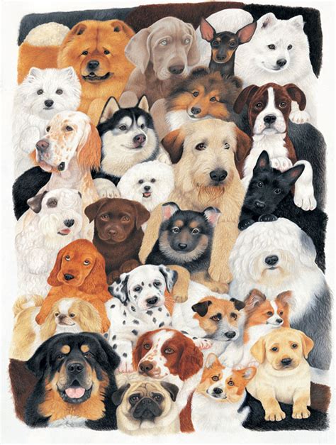 Dog Collage Jigsaw Puzzle | PuzzleWarehouse.com