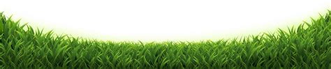 Grass Border Transparent Background Grass Isolated Green Grass Vector, Grass, Isolated, Green ...