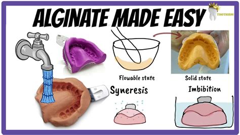 ALGINATE Impression Material | Setting reaction is a love story | Dental Materials - YouTube