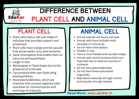 Difference between Plant Cell and Animal Cell - Edukar India