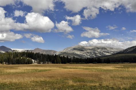 Golden Meadow | California, Yosemite, yellow, blue, nature, … | Flickr