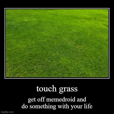 Grass Meme