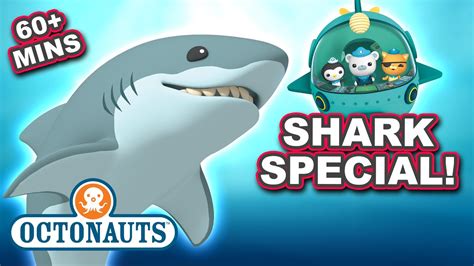 #SharkWeek @Octonauts - One Hour of Sharks 🦈 | 60 Mins+ |@OctonautsandFriends - YouTube