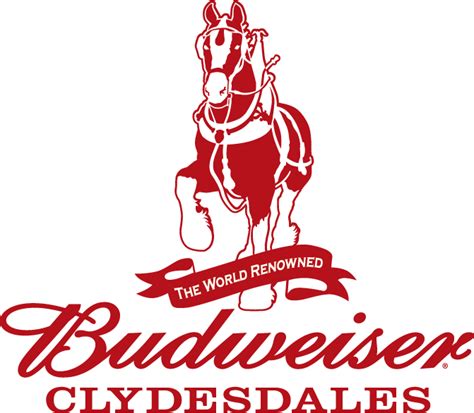 Budweiser Clydesdales