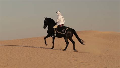 Arabian horse rider riding black male horse on desert in Dubai. Wind moves the sand of dunes ...