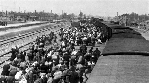 Grote herdenking 70 jaar bevrijding kamp Auschwitz | NOS