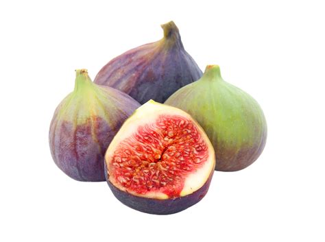 fig png transparent background 29334690 PNG