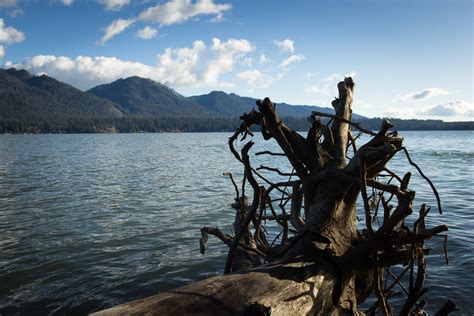 Lake Quinault - Nancy Winberg Photography