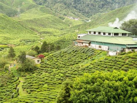 Kannan Devan Tea Museum Munnar- Timings, Entry Fee, Visiting Hours & Photos