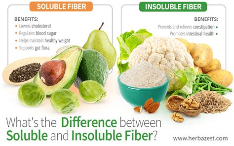 What Are The Differences Between Soluble And Insolubl - vrogue.co