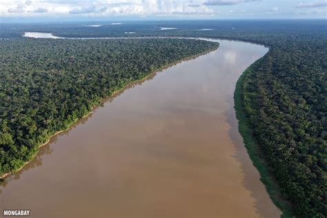 Bird's eye view: Drone photos of the Amazon rainforest (insider)