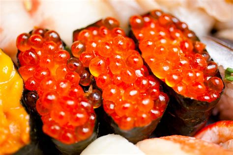 SUSHI+GUIDE:+Ikura++(Salmon+Roe,+Red+Caviar) | Sushi guide, Ikura, Salmon roe