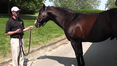 Claiborne Farm Tour - June 2012 - YouTube