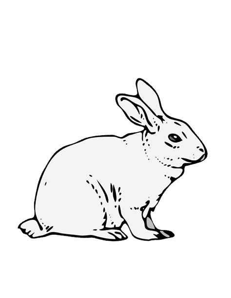 Free Printable Rabbit Coloring Pages For Kids