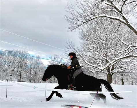 Photo Challenge: 11 Horses in a Winter Wonderland | HORSE NATION