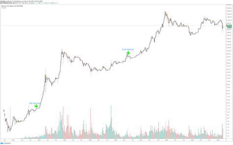 What is the Bitcoin Halving? Your Essential Questions Answered