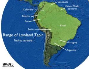 lowland-tapir-range | Tapir Specialist Group