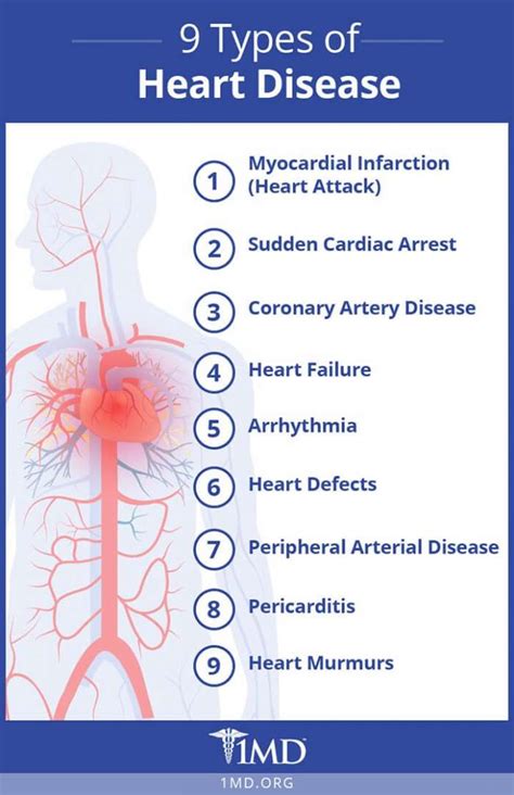 Heart Disease and You: Risks, Treatment, Prevention, and More | 1MD Nutrition™