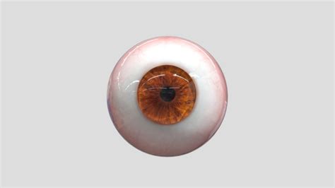 Eyeball 3D models - Sketchfab