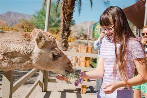 The Living Desert Zoo