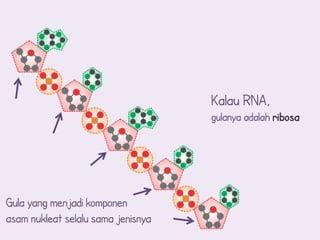 Asam nukleat | PPT