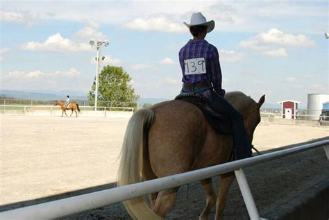 Palomino Quarterhorse Horse Show | Show horses, Horses, Riding helmets