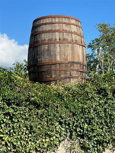 Giant Wine Barrel - Free photo on Pixabay - Pixabay