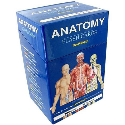 Great Anatomy Flash Cards | Anatomy flashcards, Flashcards, Cards