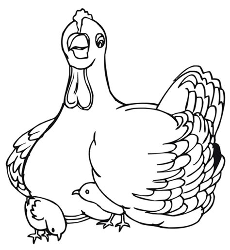 Mother Hen Chicks Coloring Page | Sermons4Kids