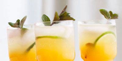 Fruit Alcoholic Drinks - Fruity Drinks with Alcohol Recipes