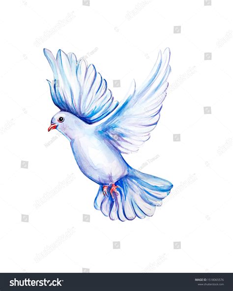 Peace Bird Dove Art Water Color Stock Illustration 1518065576 | Shutterstock