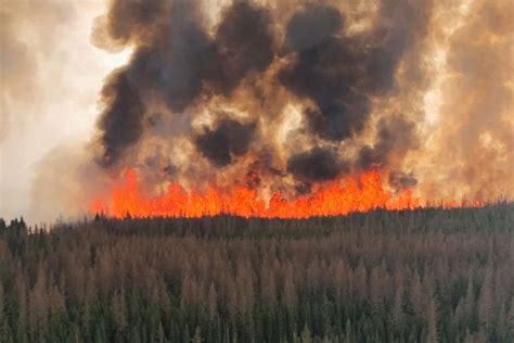 24,000 people evacuated in Canada as 103 wildfires burn - News Digest