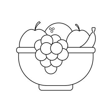 Fruits Drawing Outline