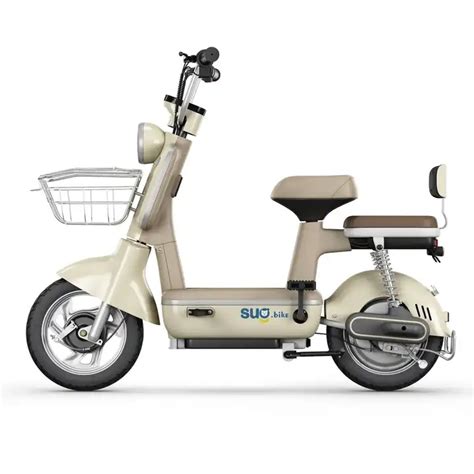 Chinese Manufacturers Produce Newly Designed Electric Bicycles with Retro Style Electric ...