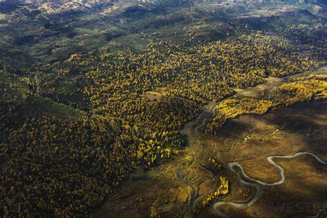 Aerial view of rivers and yellow birch trees in Alaska stock photo