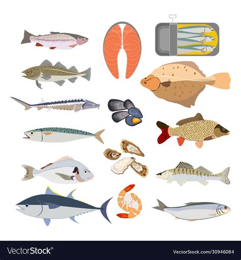 Fish types nature healthy food Royalty Free Vector Image