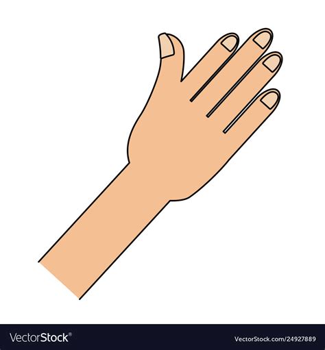 Human hand cartoon Royalty Free Vector Image - VectorStock