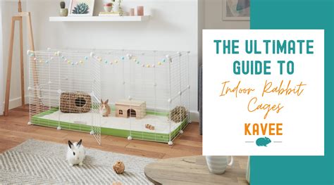 Indoor Rabbit Cages: The Definitive Guide