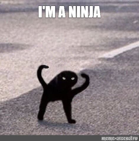 Meme: "I'M A NINJA" - All Templates - Meme-arsenal.com