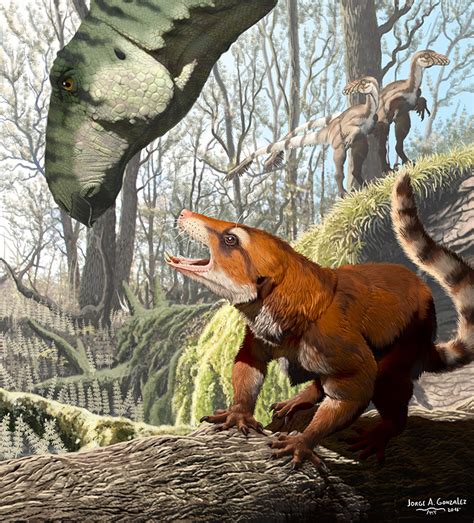 An Incredible Fossil Just Changed What We Know About The Split of Pangaea : ScienceAlert