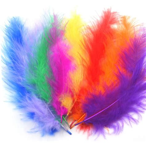 Colorful Feathers