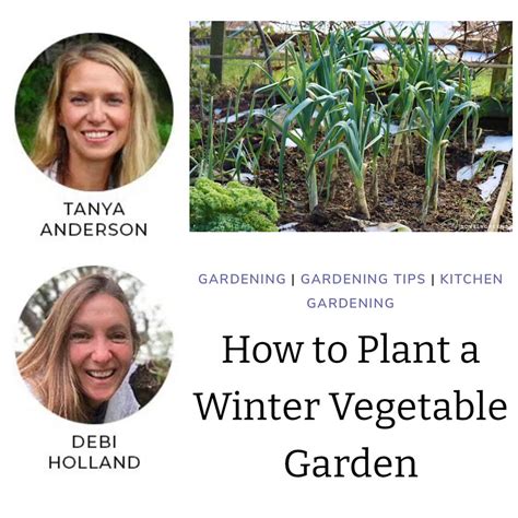 How to Plant a Winter Vegetable Garden